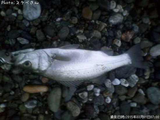 �ҥ饹����