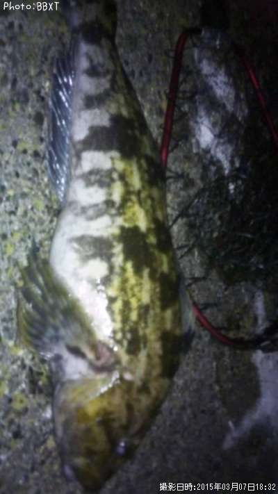 �����ʥ�