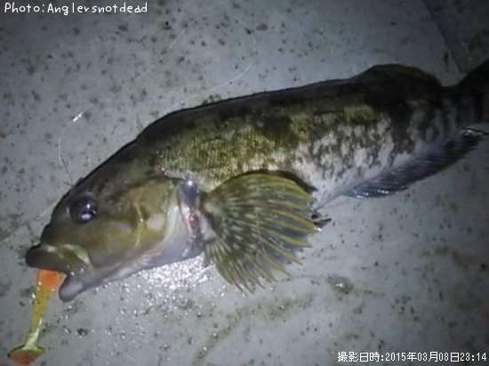 �����ʥ�