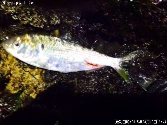 ���Υ���