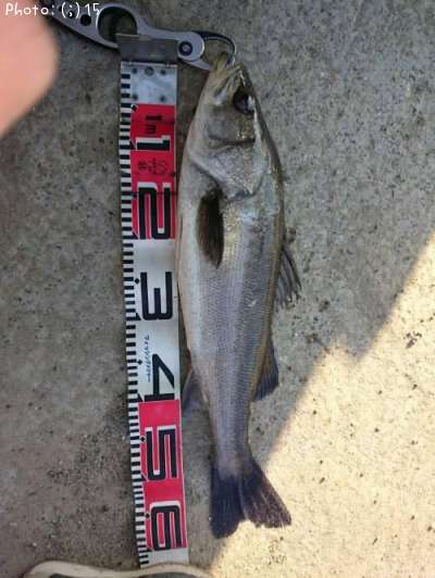 �����Х�