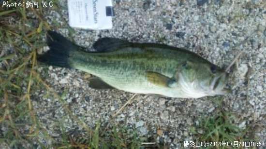 �֥�å��Х�