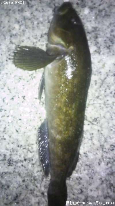 �����ʥ�