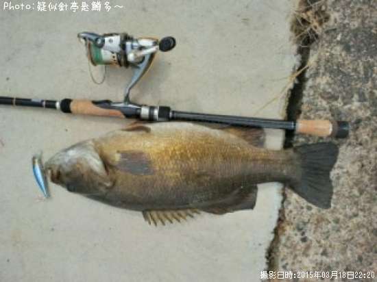 ���⡼��ޥ���