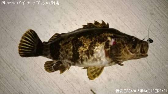 �٥å�������