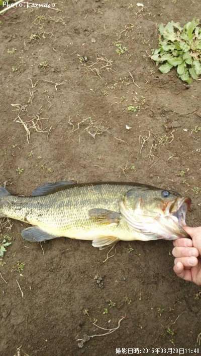 �֥�å��Х�