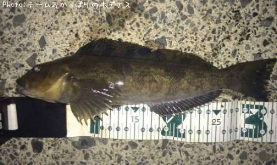 �����ʥ�