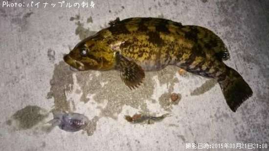 �����ʥ�