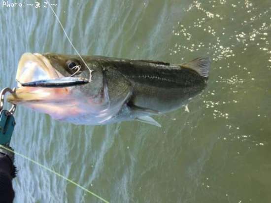 �����Х�