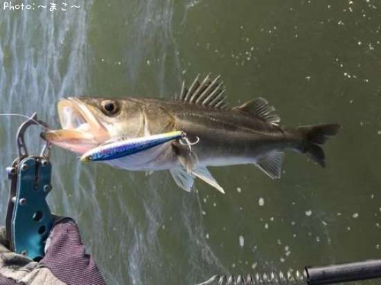 �����Х�