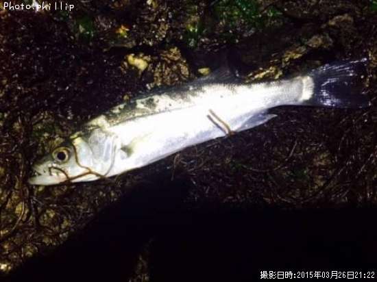 �����Х�