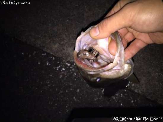 �֥�å��Х�