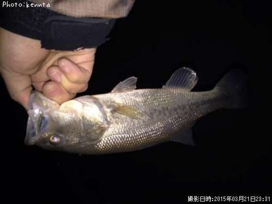 �֥�å��Х�