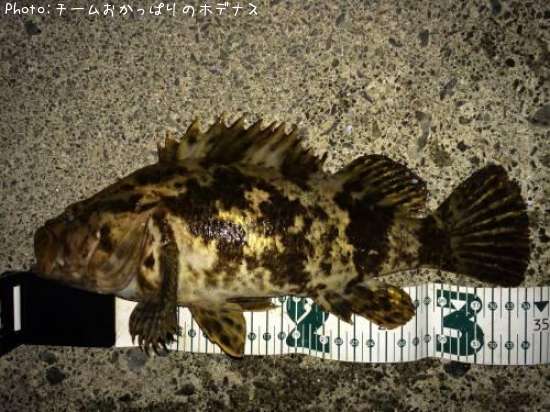 �����Υ���Х�