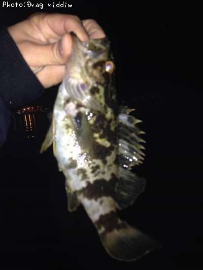 �����Υ���Х�