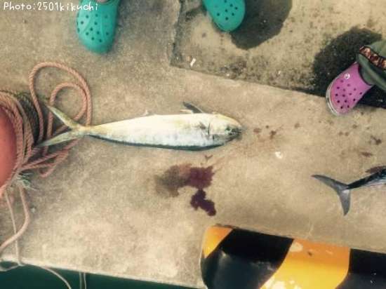 ������ʥڥ�ڥ��