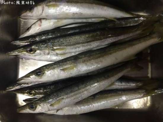 �������ޥ�