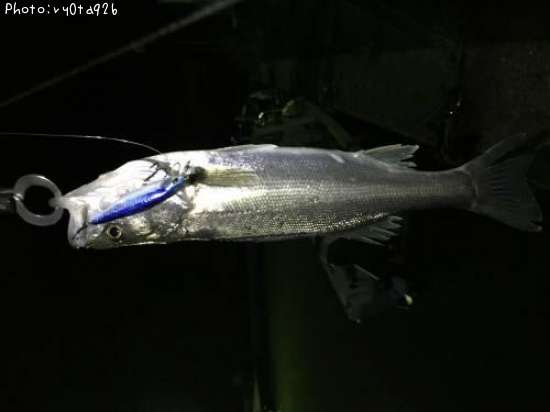 �����Х�