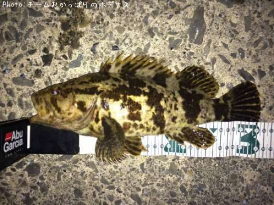 �����Υ���Х�