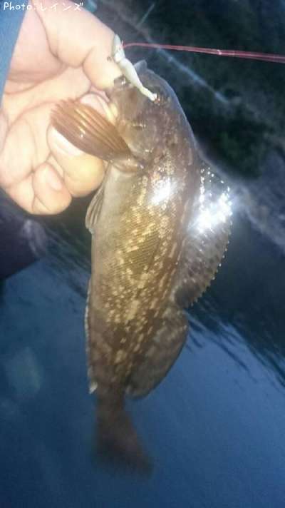 �����ʥ�