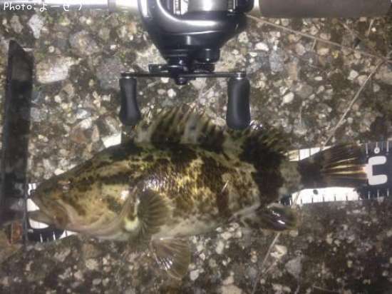 �����Υ���Х�