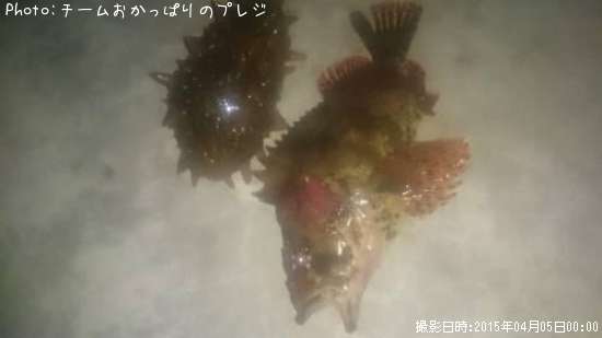 �������Х�