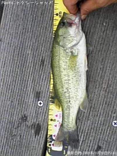 �֥�å��Х�