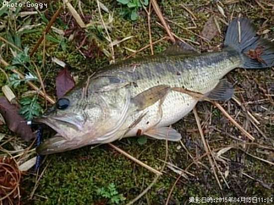 �֥�å��Х�