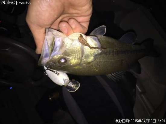 �֥�å��Х�