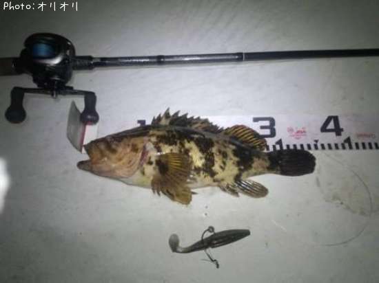 �٥å�������