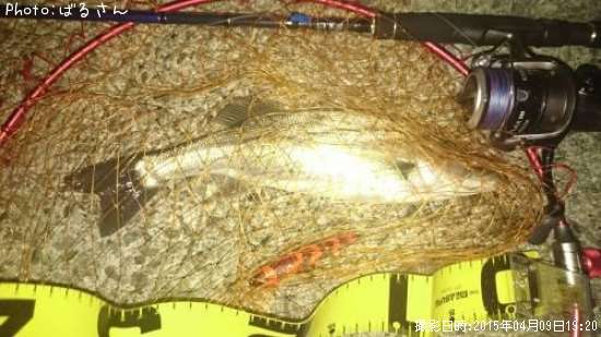 �����Х�