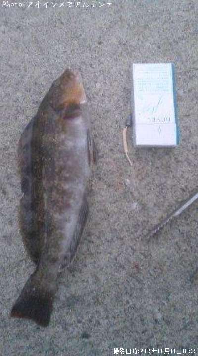 �����ʥ�