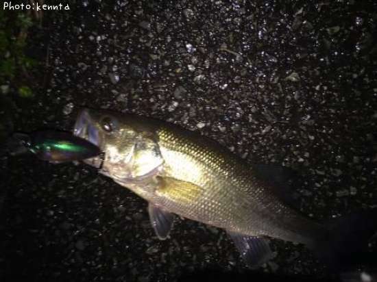 �֥�å��Х�