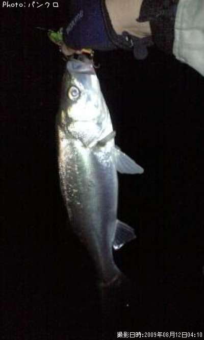 �����Х�