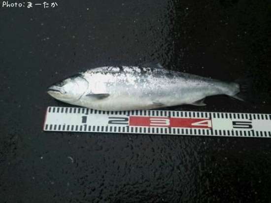 ������ޥ�