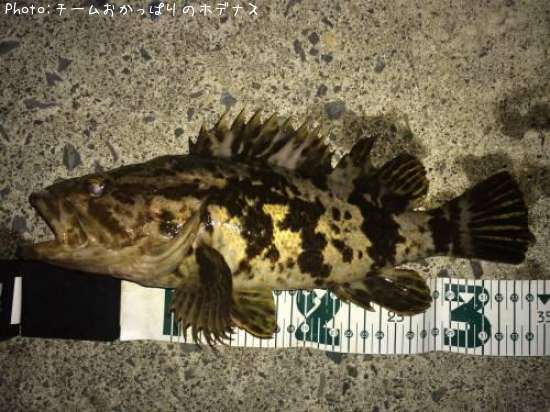 �����Υ���Х�