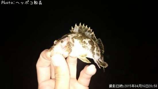 �����Υ���Х�