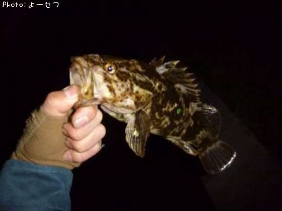 �����Υ���Х�