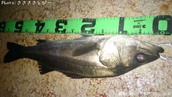 �����Х�����Х�