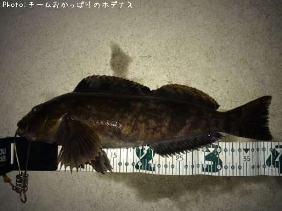 �����ʥ�