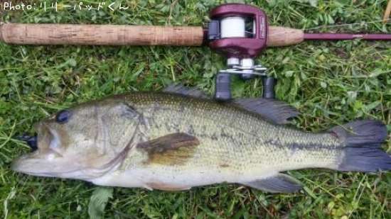 �£̣��ãˡ��£��ӣ�