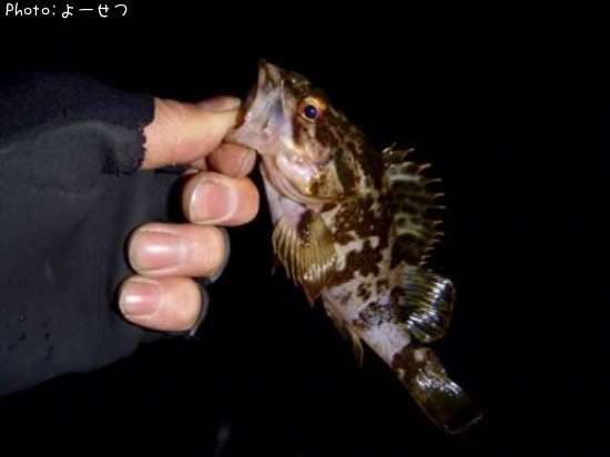 �����Υ���Х�