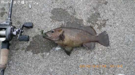 ������Х�