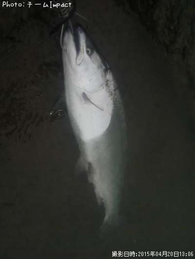 ������ޥ�