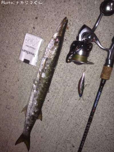 �����ᥫ�ޥ�