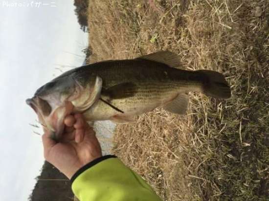 �֥�å��Х�