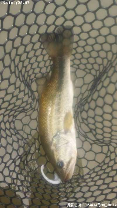 �֥�å��Х�