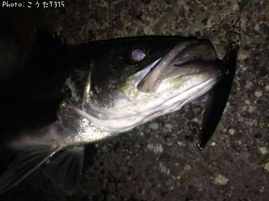 �����Х�