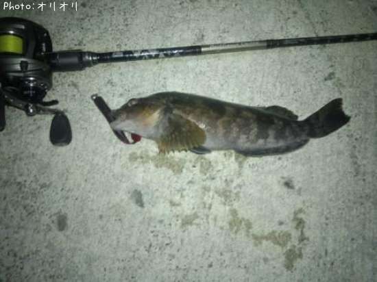 �����ʥ�