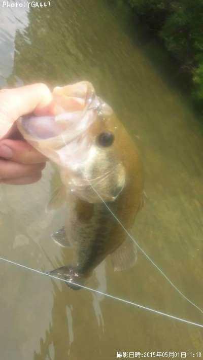 �֥�å��Х�